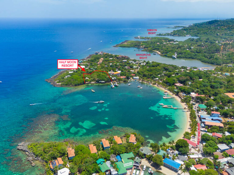 Aerial view of Half Moon Resort on Roatan in Honduras showing the bay with boats, surrounding greenery, and labeled features such as Gibson Bight and Mangrove Bight.