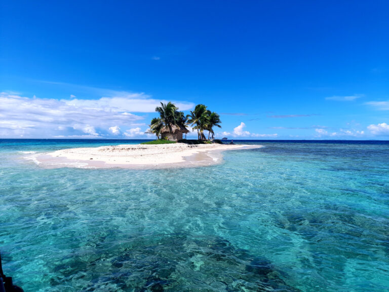 Beach with palm trees on a small island in turquoise waters.