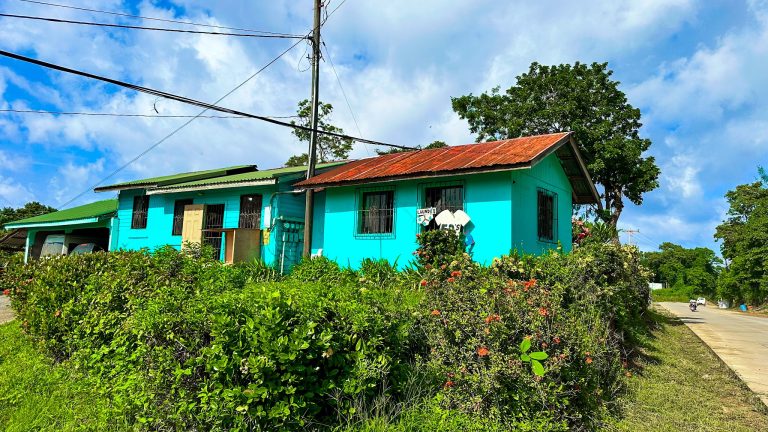 A bright turquoise building with a rust-colored metal roof and black window grilles sits amidst lush green foliage on Roatan, Honduras, with a street and utility pole visible under a partly cloudy sky.