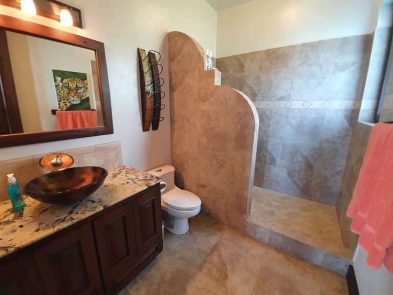 A bathroom in Roatan, Honduras featuring a dark wood vanity with a black vessel sink on a granite countertop, a wall-mounted mirror with warm lighting, a decorative leopard artwork, a white toilet, and tiled walls and floor with earthy tones.