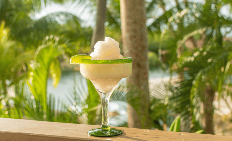 A frozen margarita garnished with a lime wedge is served in a classic cocktail glass against a background of lush green palm trees on Roatan, Honduras.