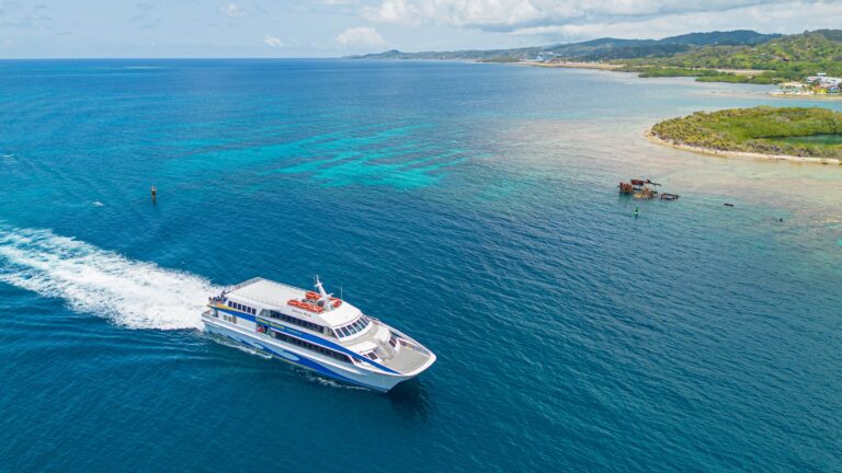 A large white and blue ferry boat sails through the turquoise waters near the coastline of Roatan, Honduras, with lush green hills and small buildings visible along the shoreline under a partly cloudy sky.
