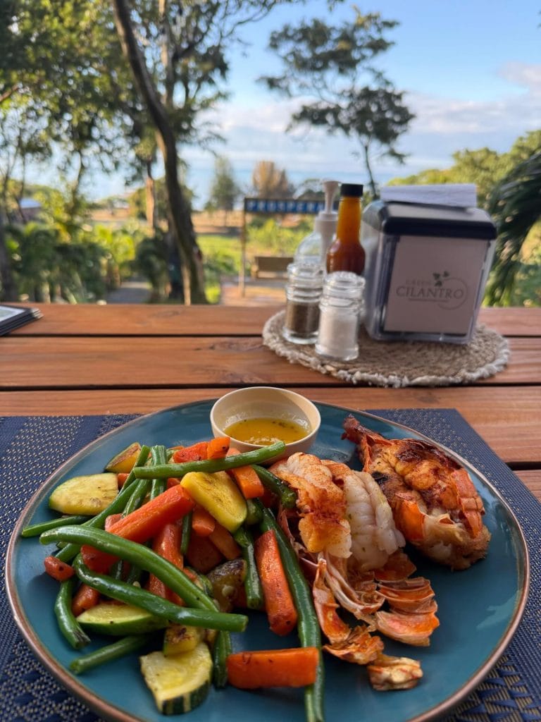 A plate of grilled seafood and colorful vegetables is set on an outdoor wooden table with a scenic view of trees and the ocean in Roatan, Honduras.