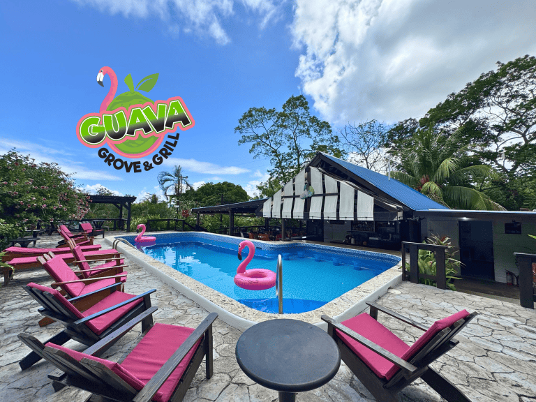 A swimming pool area with pink lounge chairs, pink flamingo pool floats, surrounded by lush tropical trees and plants, with outdoor seating and a building that has a black-and-white striped awning, in Roatan, Honduras.