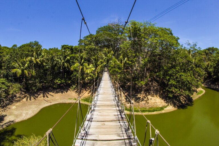 A suspended wooden bridge crossing over a narrow green-water canal surrounded by dense lush trees in Roatan, Honduras.