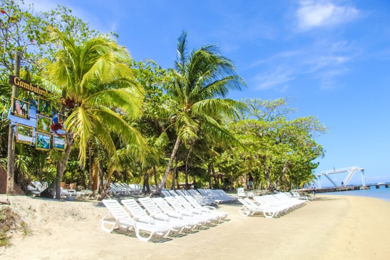 A sandy beach in Roatan, Honduras, lined with white lounge chairs, lush palm trees, and tropical vegetation, with a clear blue sky and a glimpse of the ocean in the background.