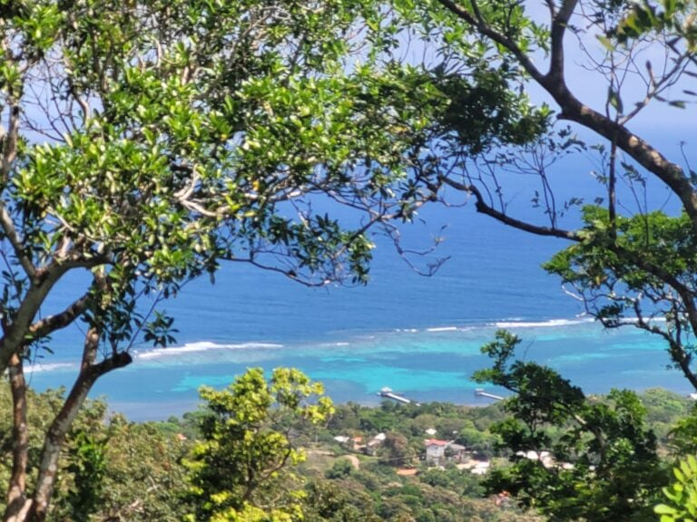 Lush green foliage frames a view of the turquoise Caribbean Sea and distant boats along the coastline of Roatan, Honduras.