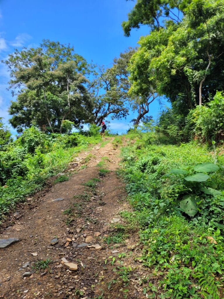 A person hiking along a rugged dirt trail surrounded by lush green trees and dense vegetation on Roatan in Honduras under a bright blue sky.