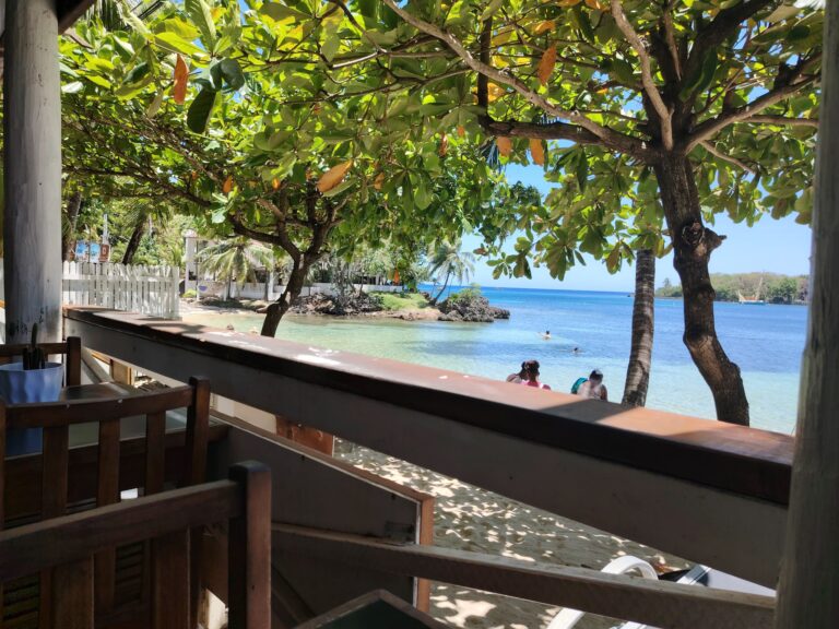 A view from a seaside restaurant in Roatan, Honduras, showing green foliage of trees, a sandy beach with people swimming, and calm blue ocean waters under a clear sky.