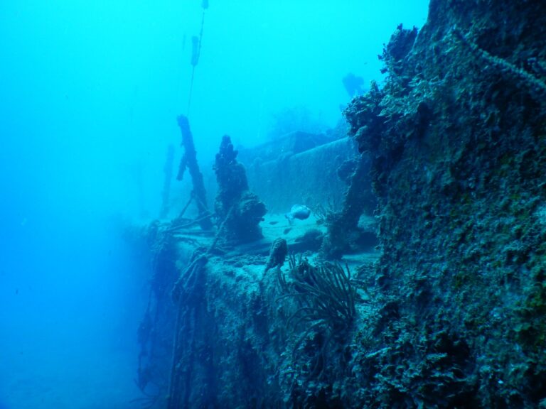 An underwater wreck covered in coral and marine life lies beneath the ocean surface near Roatan, Honduras.