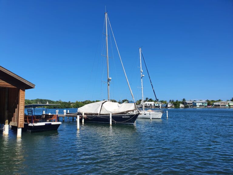 Sailboats are docked at a wooden pier on a calm harbor in Roatan, Honduras, with a clear blue sky and residential buildings visible across the water.