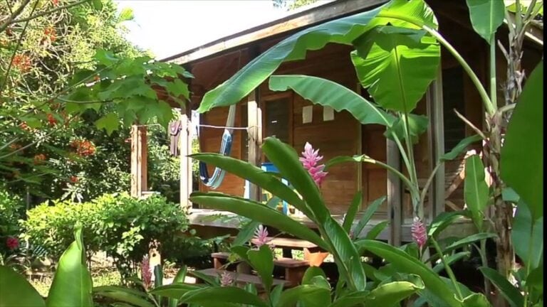 A wooden bungalow surrounded by lush tropical plants and pink ginger flowers in Roatan, Honduras.