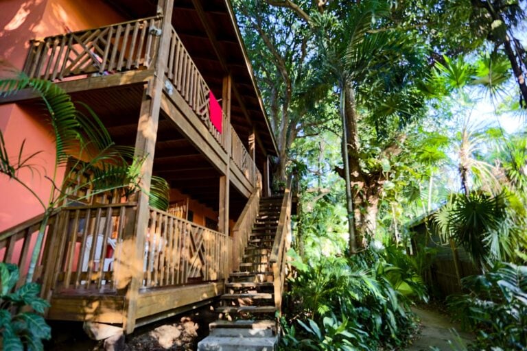 A multi-level wooden treehouse deck surrounded by lush tropical greenery on Roatan, Honduras.