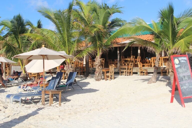 Beachfront outdoor seating area with wooden tables and chairs under palm trees, umbrellas, and a restaurant sign on Roatan, Honduras.