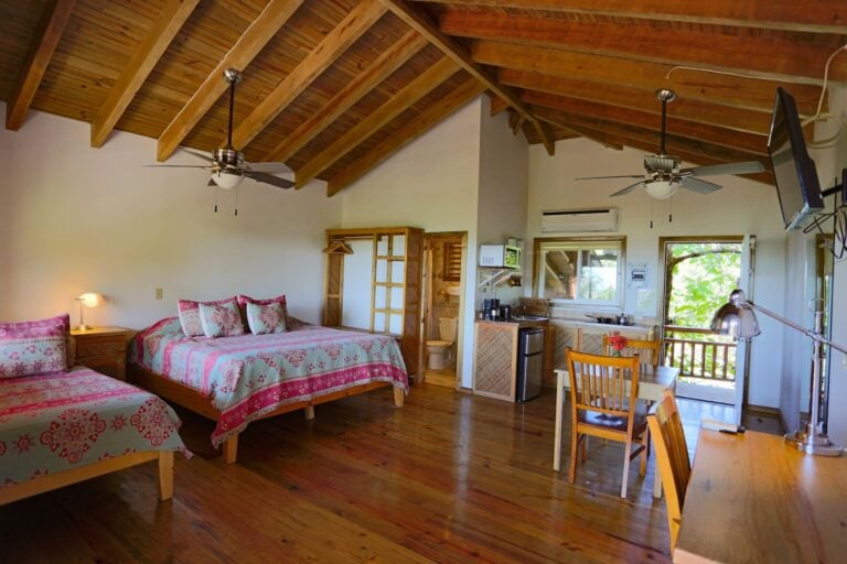 A spacious, open-concept tropical-style accommodation in Roatan, Honduras, featuring a vaulted wooden ceiling, two queen-sized beds with pink and white patterned bedding, a small kitchen area, a dining table, and large windows with greenery outside.