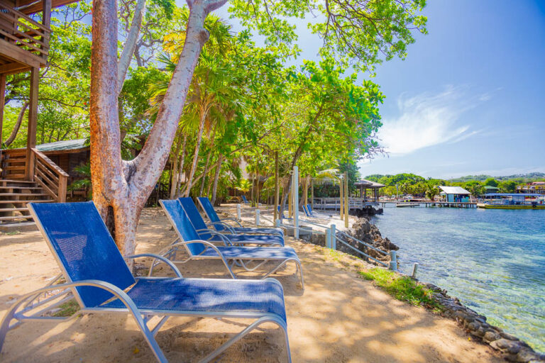 Beach chairs and lush green trees along a sandy shoreline on Roatan, Bay Islands, Honduras, with clear blue water and boat docks in the background.