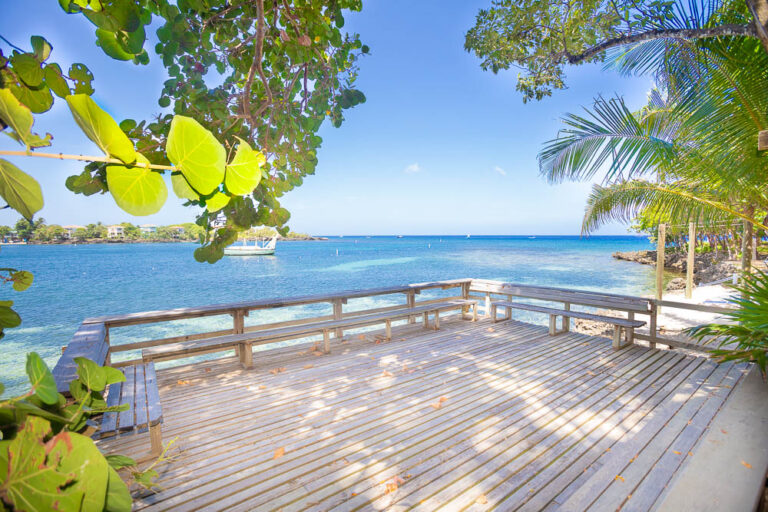 A wooden beachfront deck with a railing overlooking the clear blue waters of Roatan in Honduras, surrounded by lush green tropical trees and plants under a bright blue sky.
