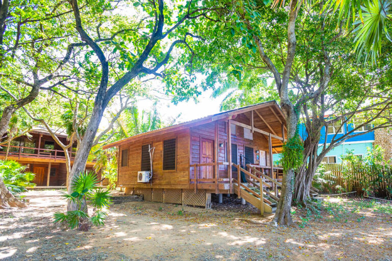 A wooden cabin with stairs leading up to the entrance is nestled among large tropical trees in Roatan, Honduras, with sunlight filtering through the green foliage.