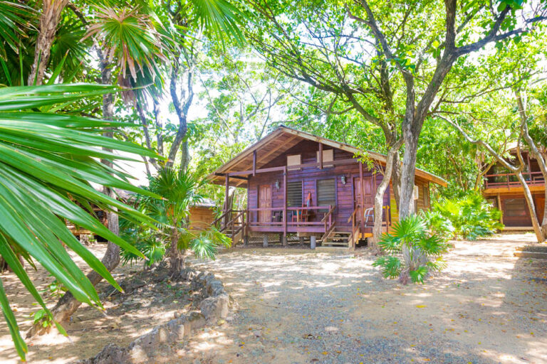 A wooden bungalow surrounded by lush green tropical trees and plants on Roatan in the Bay Islands of Honduras, with a small porch and steps leading up to the entrance.