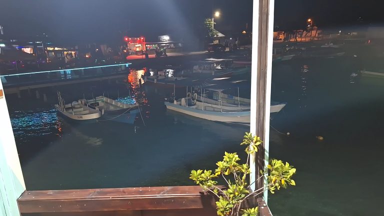 Nighttime view of boats docked in Roatan harbor with illuminated buildings and streetlights along the waterfront in Honduras.