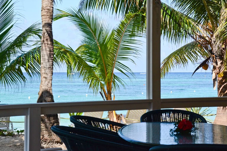 A shaded outdoor dining area overlooking the beach with palm trees and clear blue waters in Roatan, Honduras, featuring a round table with a red flower centerpiece and black chairs.
