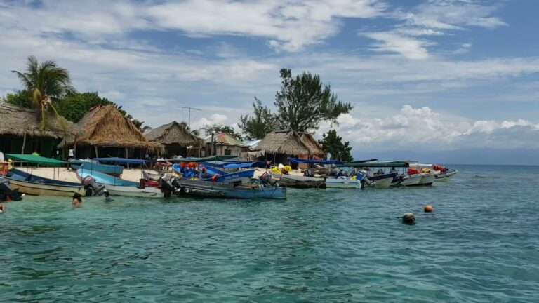 Colorful boats are docked along a thatched-roof waterfront village on Roatan, Honduras, with palm trees and a partly cloudy sky in the background.