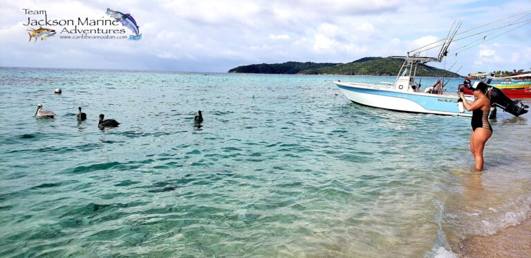 A woman in a black swimsuit stands in clear shallow waters near a boat with fishing rods on Roatan, Honduras, as pelicans swim nearby and a lush green island is visible in the background.