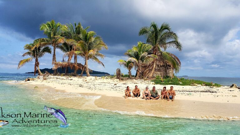 A group of six people sits on a sandy beach lined with palm trees on Roatan in Honduras, with dark storm clouds in the sky and the ocean in the background.