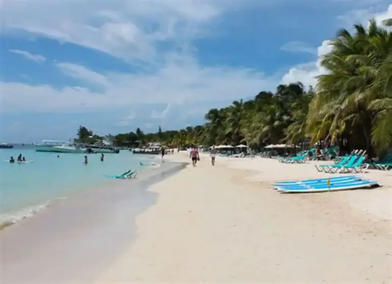 Beach in Roatan with palm trees and lounge chairs under a partly cloudy sky.