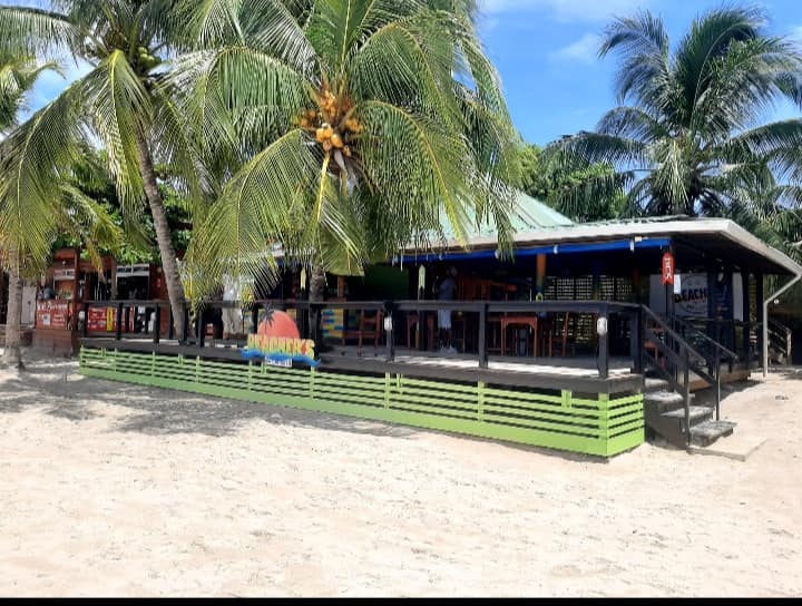 A beachfront restaurant or bar on Roatan, Bay Islands, Honduras, features a deck with a black railing, tropical palm trees overhead, and a sandy beach in the foreground.