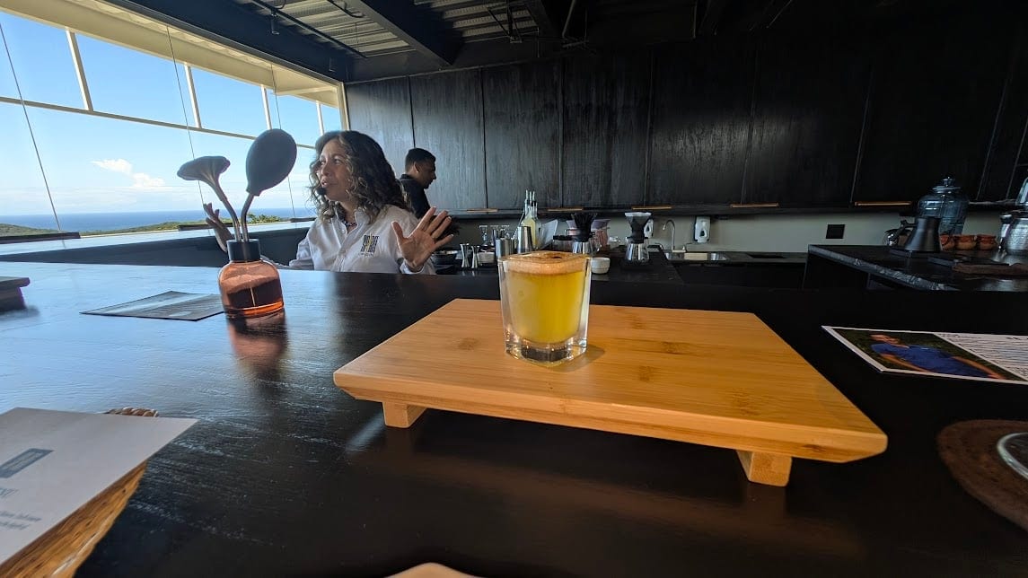 A woman hosting a cocktail class at a modern indoor bar in Roatan, Honduras with a panoramic ocean view through large windows.