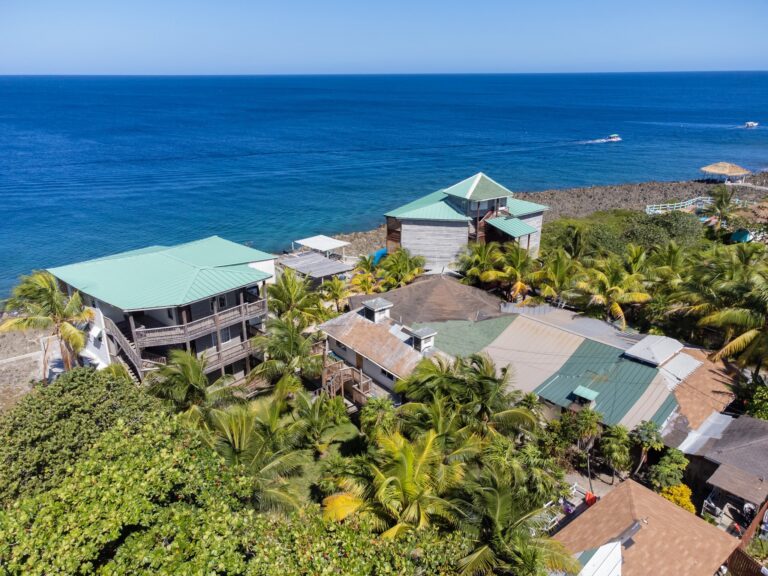 Aerial view of colorful beachfront houses with green roofs surrounded by palm trees overlooking the blue Caribbean Sea in Roatan, Honduras.