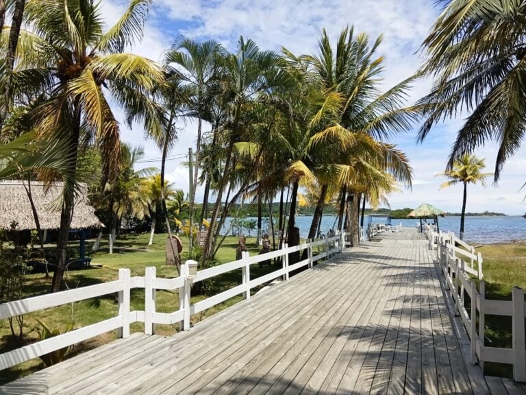 Wooden boardwalk lined with palm trees on a Roatan beach