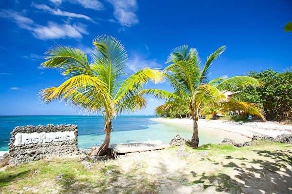 A tropical beach scene in Roatan, Honduras, featuring palm trees, clear turquoise waters, white sand, and a blue sky, with a stone sign that reads "Las Rocas" near the shoreline.