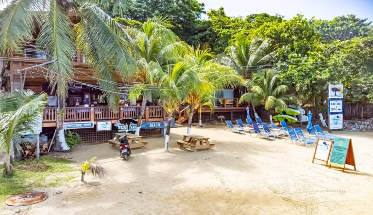 A beachfront bar and lounge in Roatan, Honduras, featuring wooden decks surrounded by lush palm trees, with blue lounge chairs, umbrellas, and a sign promoting snorkeling activities.
