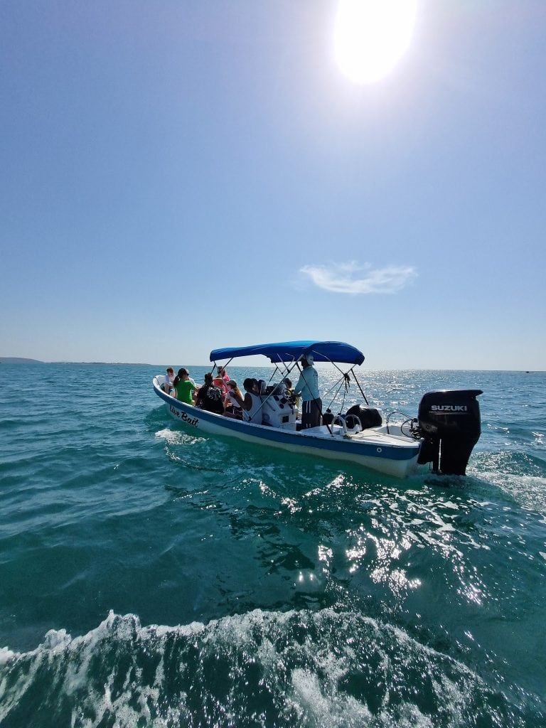 A group of people wearing life jackets are riding on a small boat with an outboard motor labeled "Live Bait" across the clear blue waters of Roatan, Honduras, under a bright sun with a partly cloudy sky.