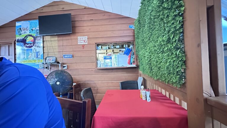 A cozy indoor dining area on Roatan, Honduras, features wooden paneling, a large green artificial plant wall, a window for ordering, and a red tablecloth with condiments, signage indicating cash-only and open status, and a mounted TV.
