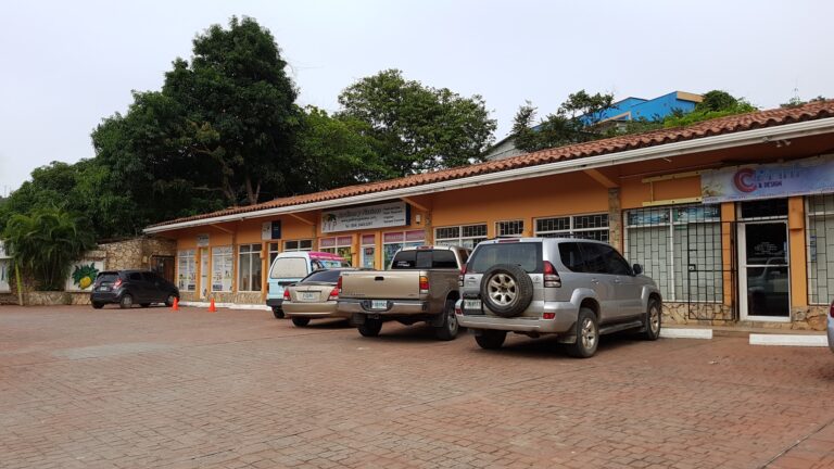 A row of retail shops with signage for garden, pool, and irrigation services is located in Roatan, Honduras, with several cars parked in front and lush green trees in the background.
