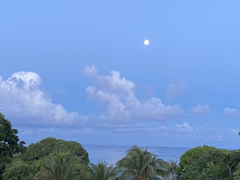 A view of the blue sky with scattered white clouds, the full moon visible, and lush green tropical trees along the coastline in Roatan, Honduras.