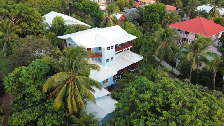 An aerial view of colorful multi-story houses with white, blue, and pink exteriors surrounded by lush tropical vegetation and palm trees in Roatan, Honduras.