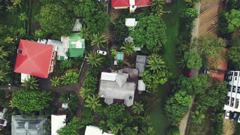 An aerial view of residential properties surrounded by lush greenery and tall palm trees in Roatan, Honduras, featuring rooftops, a small swimming pool, and nearby streets with parked cars.