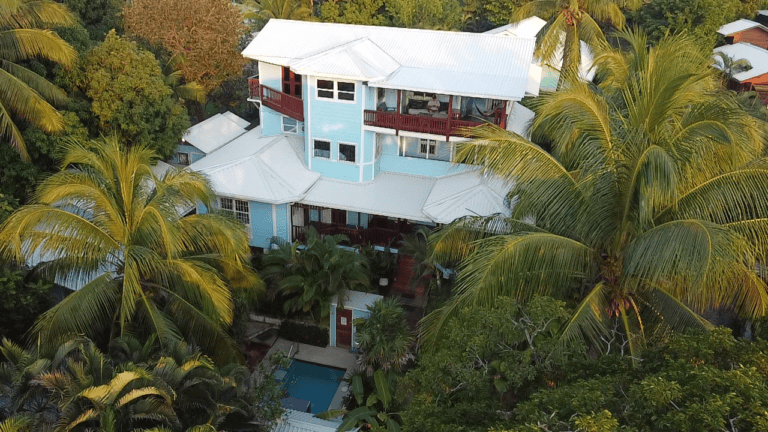 An elevated view of a light blue multi-story house with a white metal roof, surrounded by lush green palm trees and tropical foliage on Roatan, Honduras.