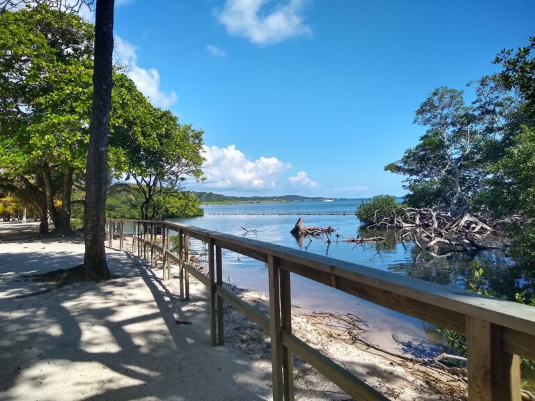 A sandy pathway lined with trees and a wooden railing extends along the shoreline of Roatan, Honduras, overlooking calm water with a distant boat and lush green hills under a bright blue sky with scattered clouds.