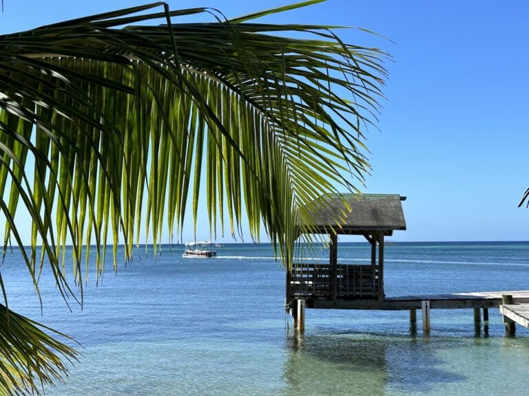 A wooden pier with a thatched-roof hut extends over the clear blue waters of Roatan, Honduras, with lush green palm fronds in the foreground and a boat sailing in the distance.