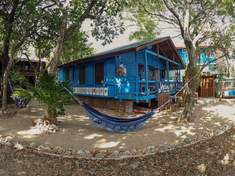 A blue wooden building with a sign reading "Moana" is surrounded by trees and tropical plants on a sandy area in Roatan, Honduras, with a hammock strung between two trees in the foreground.