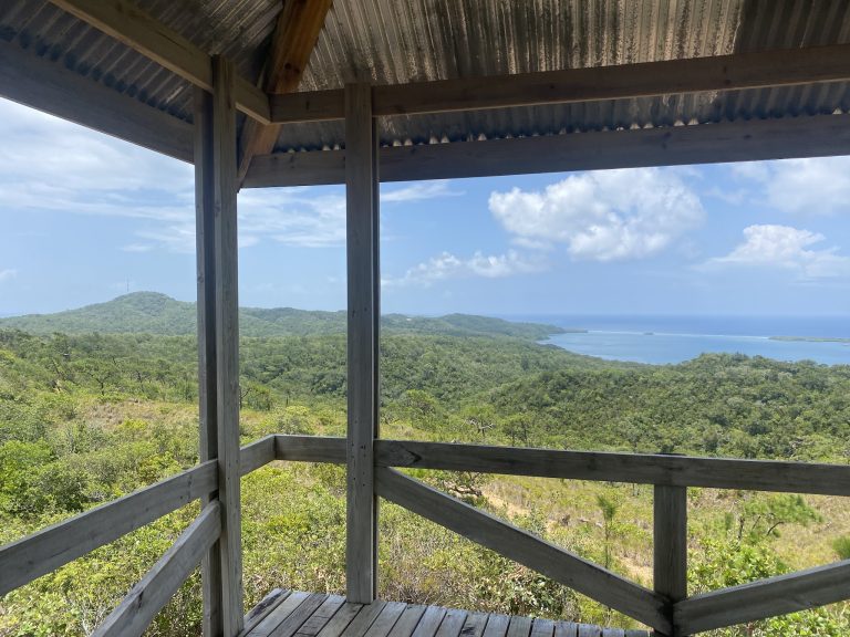 A wooden viewing platform with a corrugated metal roof offers panoramic views of lush green hills, a winding river, and the ocean in Roatan, Honduras.