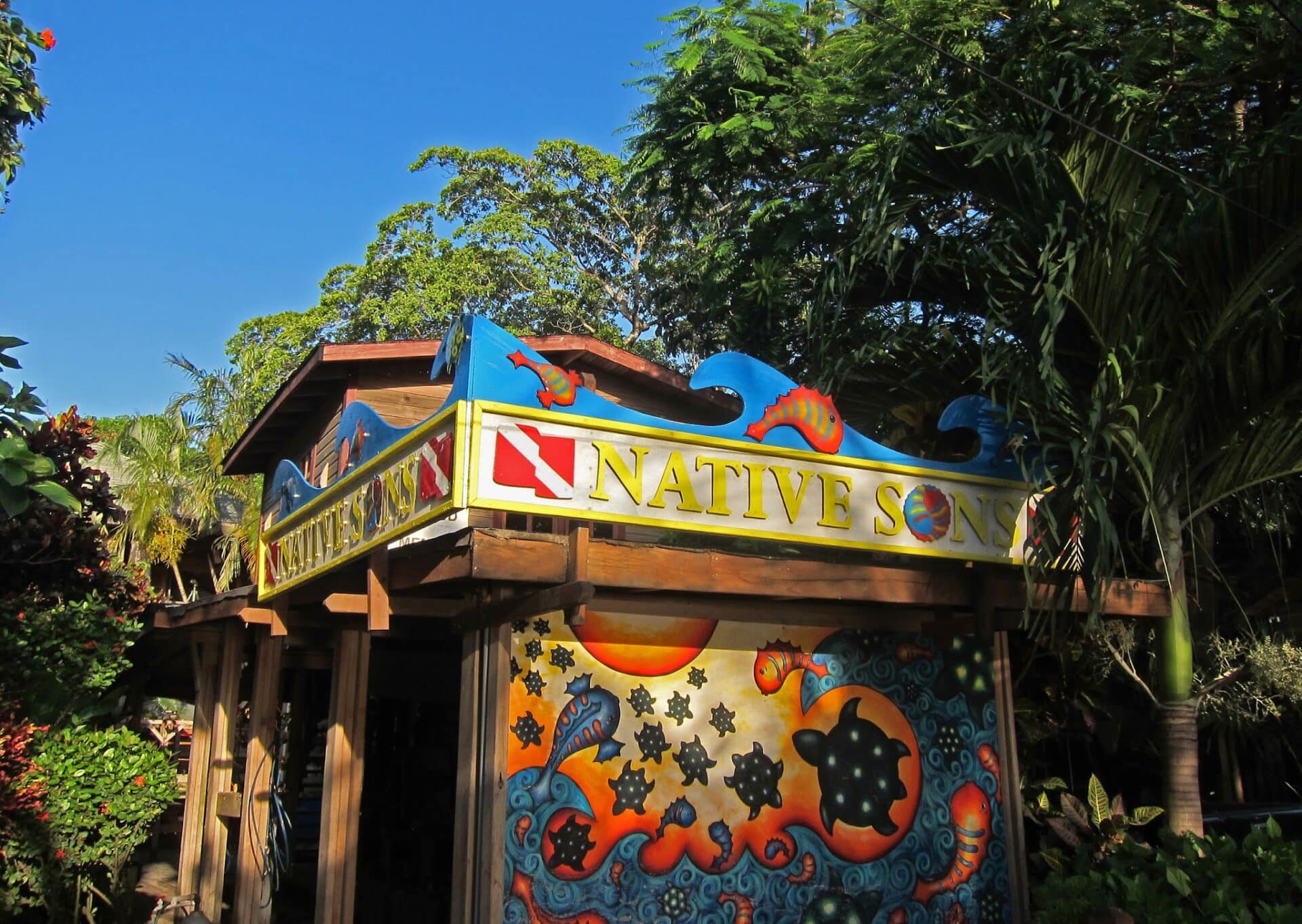 A colorful sign with seahorse and ocean-themed artwork advertises Native Sons in Roatan, Honduras, surrounded by lush green trees and tropical foliage.