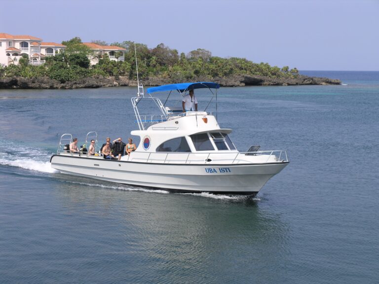A group of people ride on a white motorboat with a blue canopy on the clear waters of Roatan, Honduras, with lush green hillside and white residential buildings in the background.