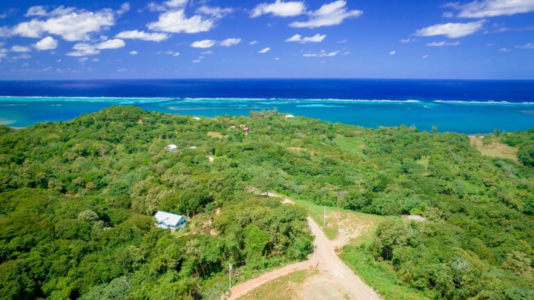 A lush green hillside overlooking the ocean with vibrant blue waters, white sandy beaches, and coral reefs visible from above on Roatan, Honduras.