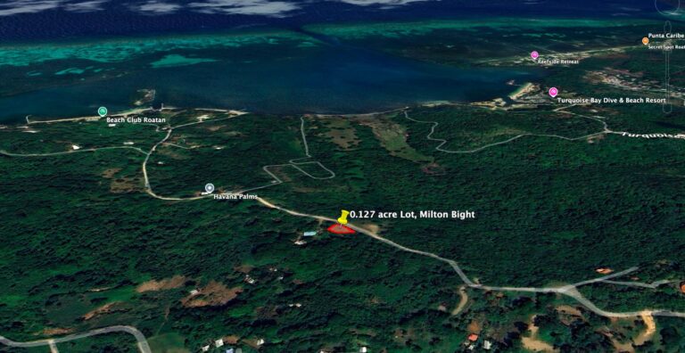 Aerial view of a lush green Lot for sale in Milton Bight on Roatan, Honduras, with dense vegetation, winding roads, and nearby ocean coastline visible in the background.